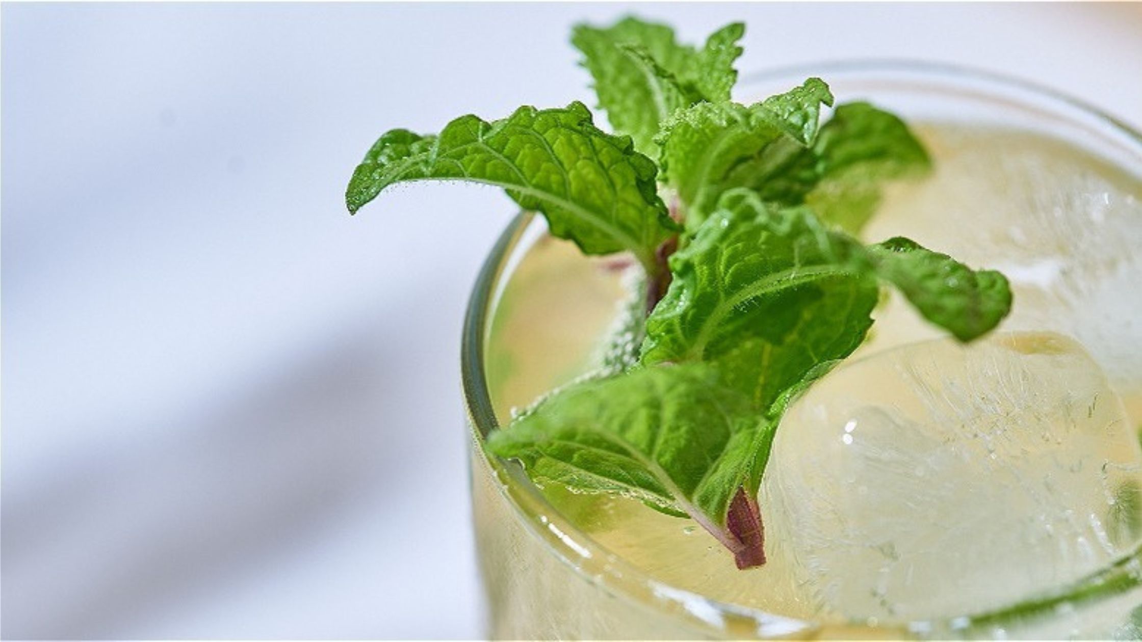 Golden Mojito